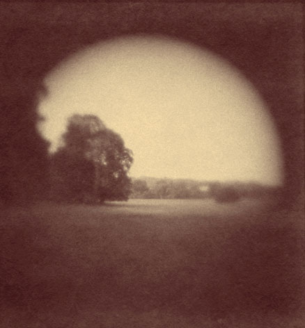 Light in the North Field